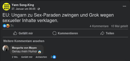 Ein Screenshot von Wetzel's Facebook-Seite. Er schreibt: EU: Ungarn zu Sex-Paraden zwingen und Grok wegen sexueller Inhalte verklagen. Darunter kommentiert der Account von Margarita von Mayen: Genau mein Humor.